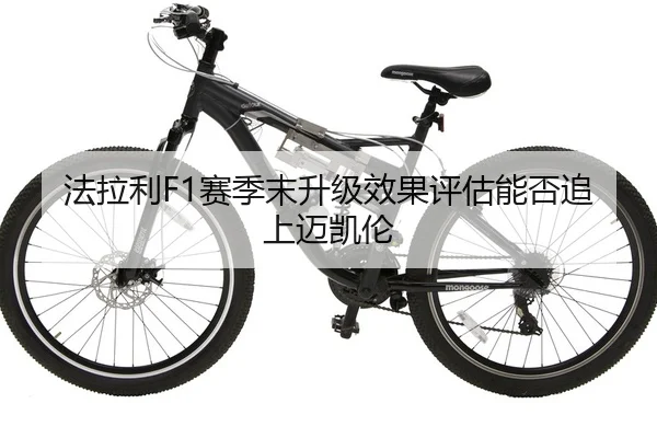 fa-la-li-sai-ji-mo-sheng-ji-xiao-guo-ping-gu-neng-fou-zhui-shang-mai-kai-lun-2-743.jpg